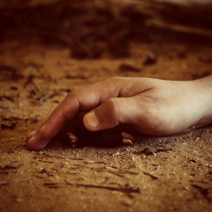 Preservation — surreal photography by Achraf Baznani